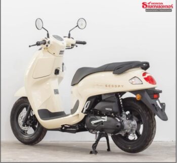 scoopy